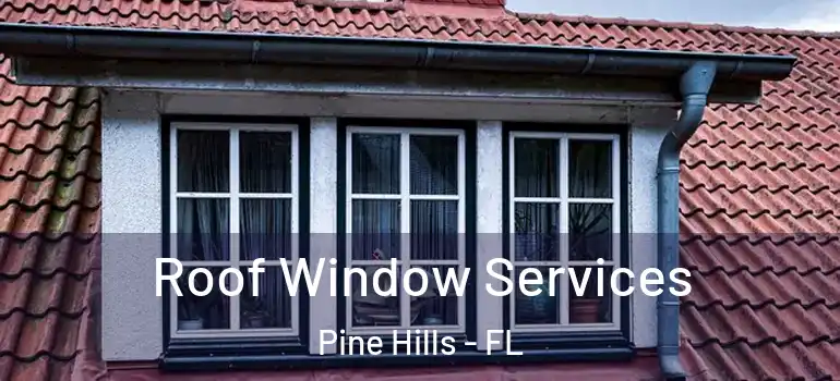 Roof Window Services Pine Hills - FL