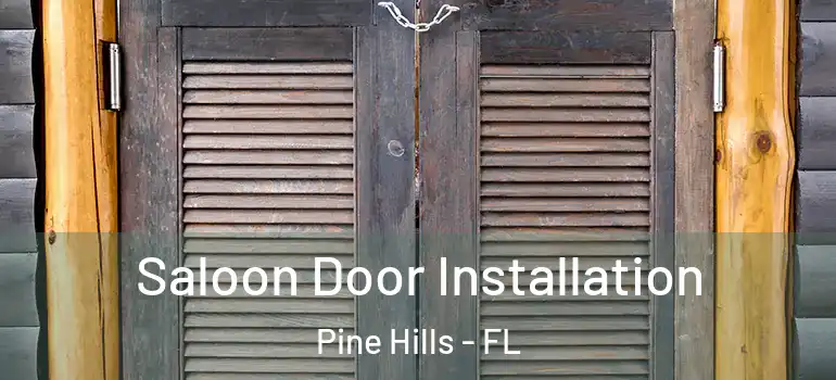Saloon Door Installation Pine Hills - FL