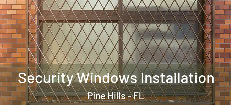  Security Windows Installation Pine Hills - FL