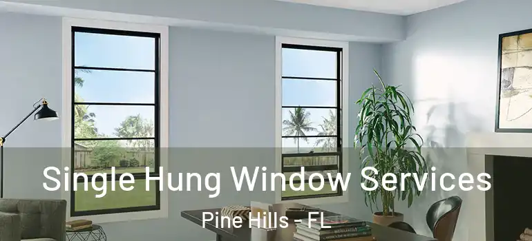  Single Hung Window Services Pine Hills - FL