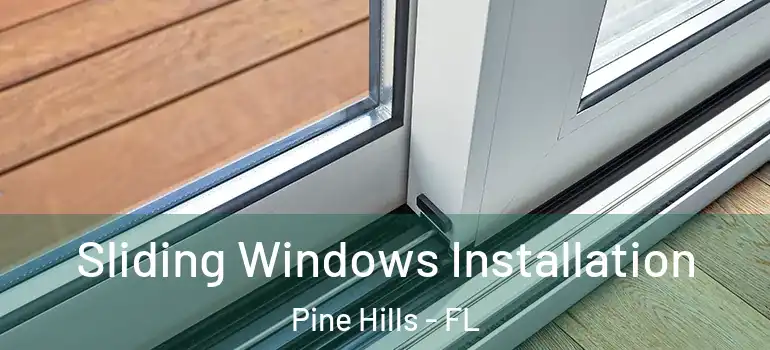  Sliding Windows Installation Pine Hills - FL