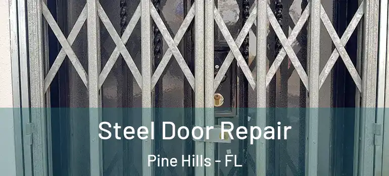  Steel Door Repair Pine Hills - FL
