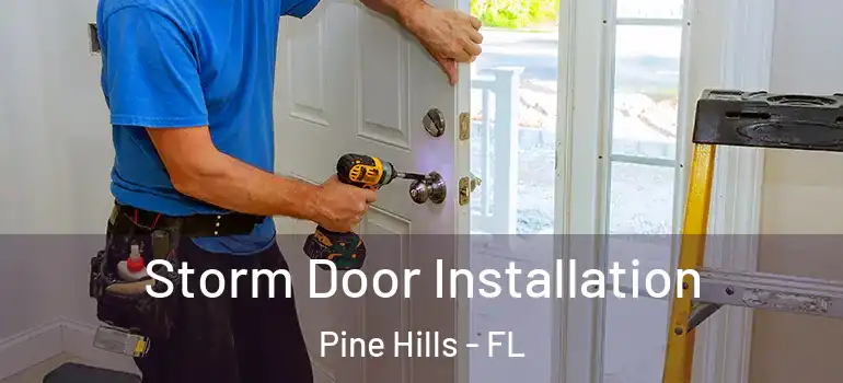Storm Door Installation Pine Hills - FL