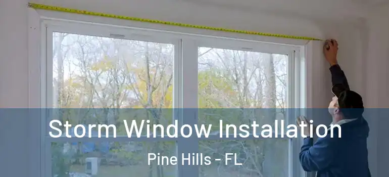  Storm Window Installation Pine Hills - FL