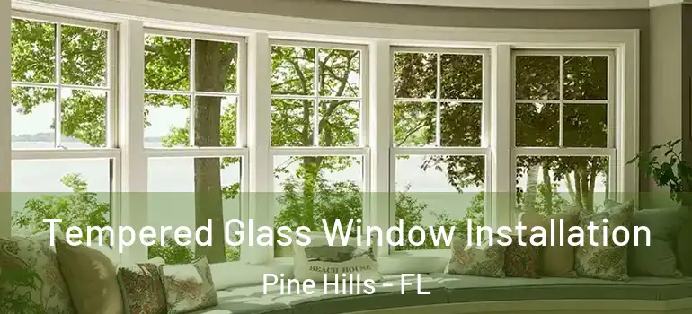  Tempered Glass Window Installation Pine Hills - FL