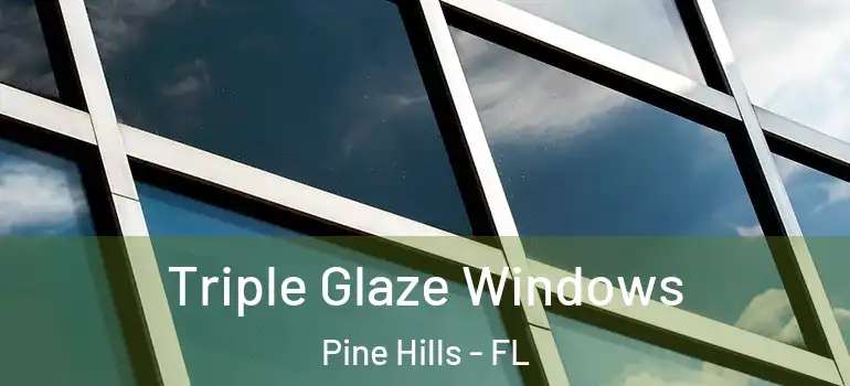 Triple Glaze Windows Pine Hills - FL
