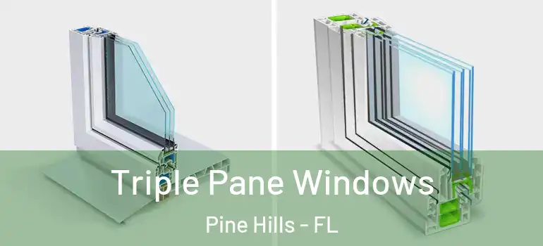  Triple Pane Windows Pine Hills - FL