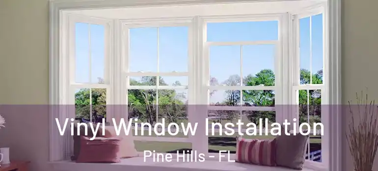  Vinyl Window Installation Pine Hills - FL
