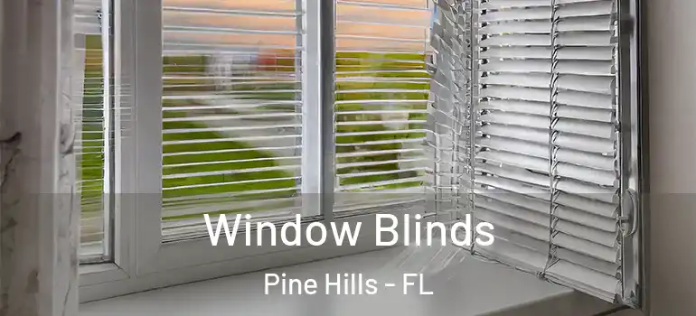  Window Blinds Pine Hills - FL
