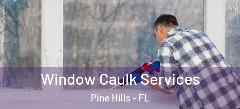  Window Caulk Services Pine Hills - FL