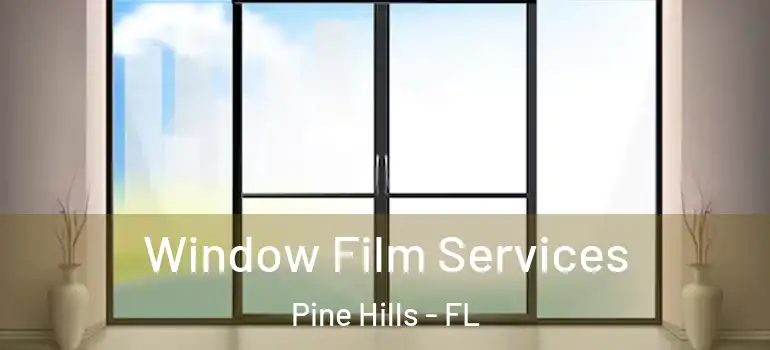  Window Film Services Pine Hills - FL