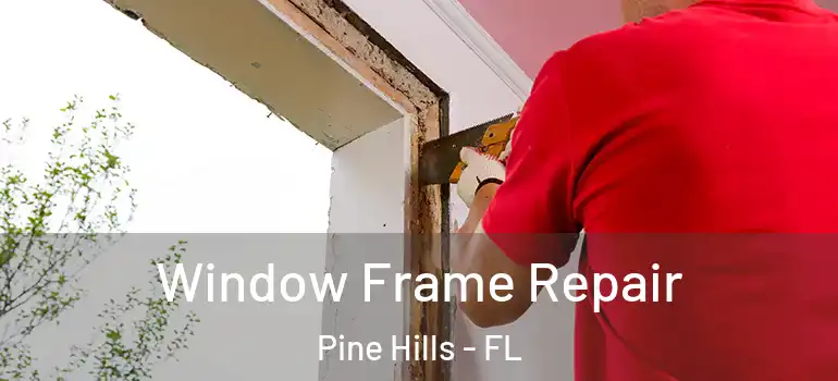 Window Frame Repair Pine Hills - FL