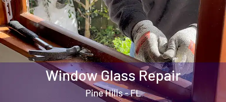  Window Glass Repair Pine Hills - FL