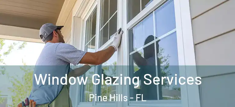  Window Glazing Services Pine Hills - FL