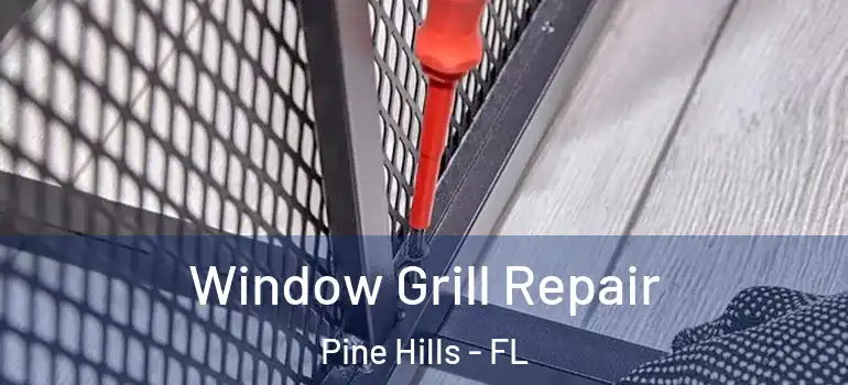  Window Grill Repair Pine Hills - FL