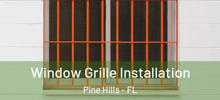  Window Grille Installation Pine Hills - FL