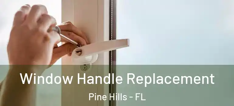  Window Handle Replacement Pine Hills - FL
