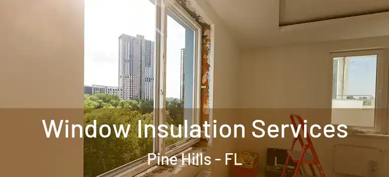  Window Insulation Services Pine Hills - FL