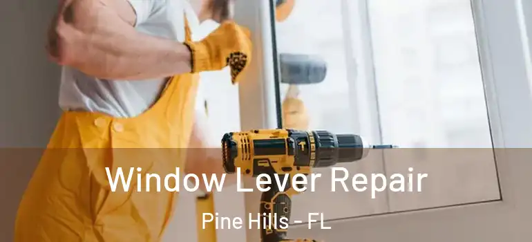  Window Lever Repair Pine Hills - FL