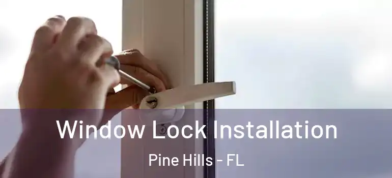  Window Lock Installation Pine Hills - FL