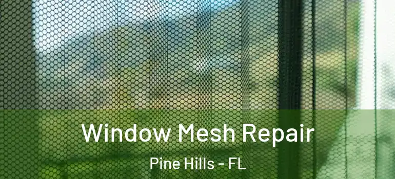  Window Mesh Repair Pine Hills - FL