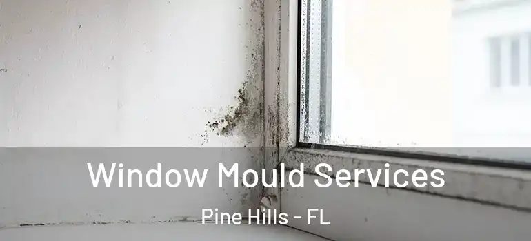  Window Mould Services Pine Hills - FL