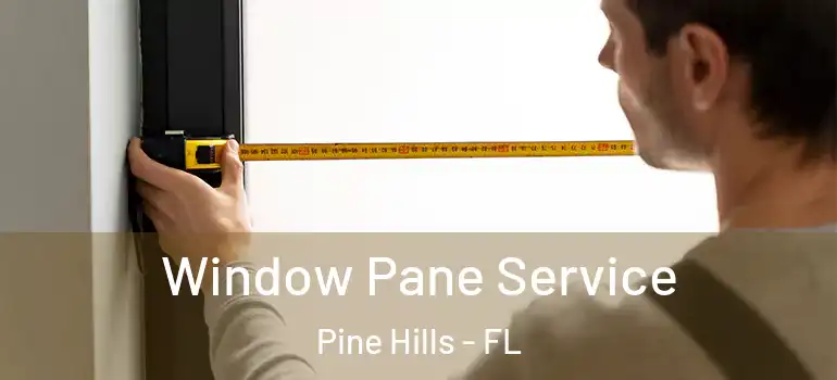  Window Pane Service Pine Hills - FL