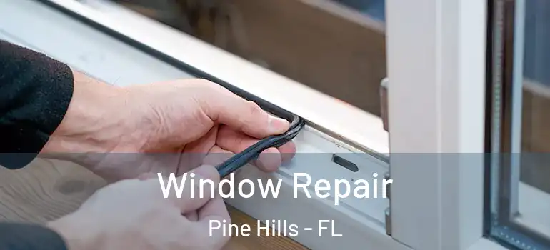  Window Repair Pine Hills - FL
