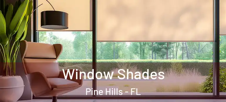  Window Shades Pine Hills - FL