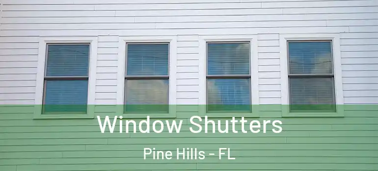  Window Shutters Pine Hills - FL