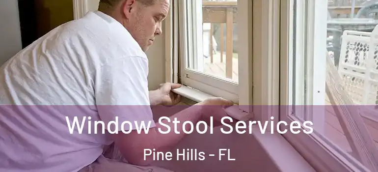  Window Stool Services Pine Hills - FL