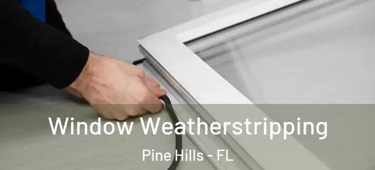 Window Weatherstripping Pine Hills - FL
