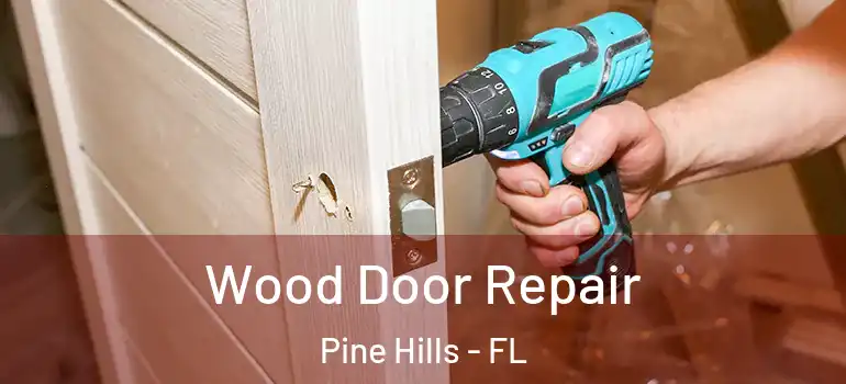  Wood Door Repair Pine Hills - FL