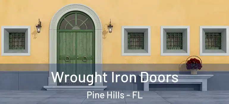  Wrought Iron Doors Pine Hills - FL